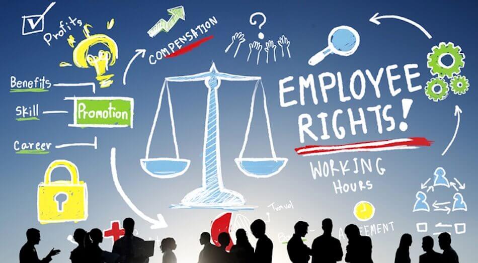 Employment Law